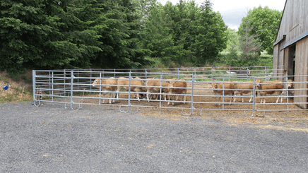 Matériel d'élevage - Cage, parc et couloir de contention - Panel de contention JOURDAIN