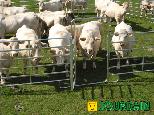 Matériel d'élevage - Cage, parc et couloir de contention - Panel de contention JOURDAIN