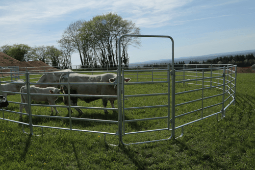 Matériel d'élevage - Cage, parc et couloir de contention - Panel de contention JOURDAIN