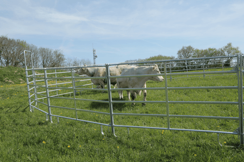 Matériel d'élevage - Cage, parc et couloir de contention - Panel de contention JOURDAIN
