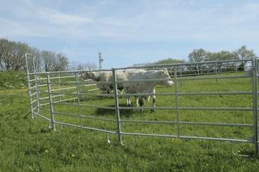 Matériel d'élevage - Cage, parc et couloir de contention - Panel de contention JOURDAIN