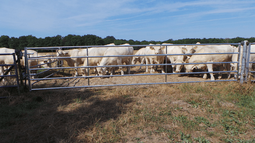 Matériel d'élevage - Barrière herbage - Barrière d'herbage