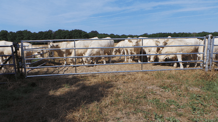 Matériel d'élevage - Barrière herbage - Barrière d'herbage