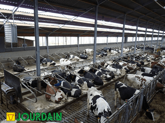 Matériel d'élevage - Logette et libre service - Logettes à veaux JOURDAIN