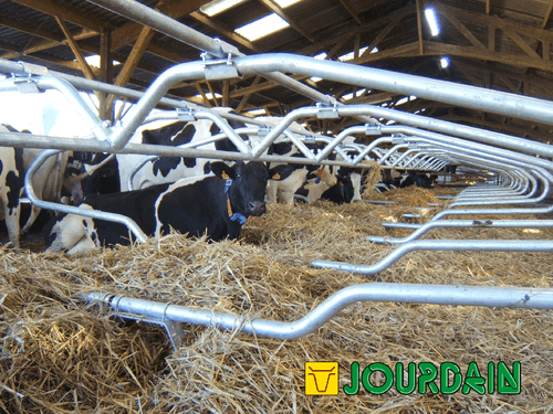 Matériel d'élevage - Logette et libre service - Logettes à veaux JOURDAIN