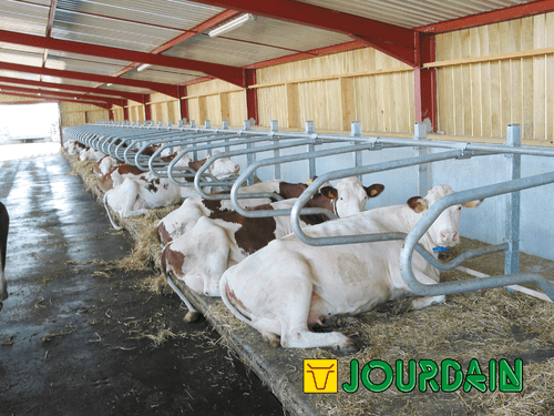 Matériel d'élevage - Logette et libre service - Logettes à veaux JOURDAIN