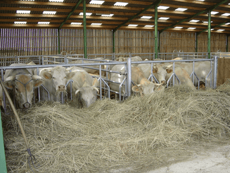Matériel d'élevage - Logette et libre service - Panneaux libre service JOURDAIN