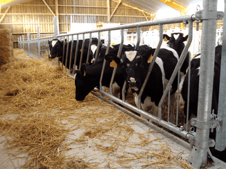 Matériel d'élevage - Logette et libre service - Panneaux libre service JOURDAIN