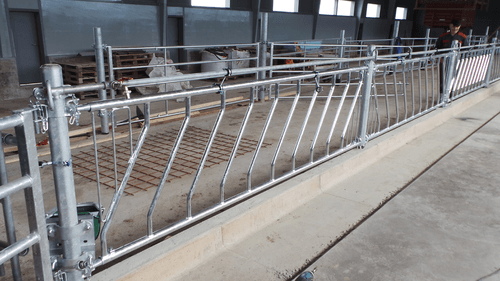 Matériel d'élevage - Logette et libre service - Panneaux libre service JOURDAIN