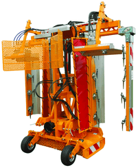 Entretien - Rogneuses - Combiné rogneuse/tondeuse