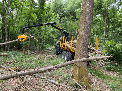 Matériel forestier - Remorques forestières - Remorque forestière