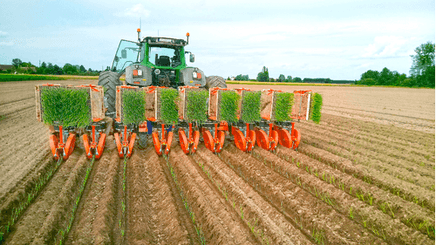 Semis - Planteuses - Planteuse repiqueuse