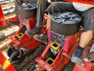 Semis - Planteuses - Planteuse repiqueuse