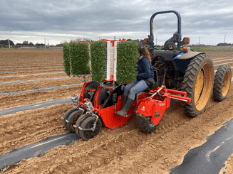 Semis - Planteuses - Planteuse repiqueuse