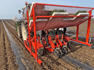 Semis - Planteuses - Planteuse repiqueuse