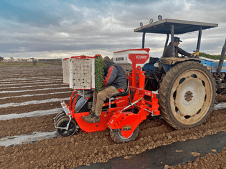 Semis - Planteuses - Planteuse repiqueuse