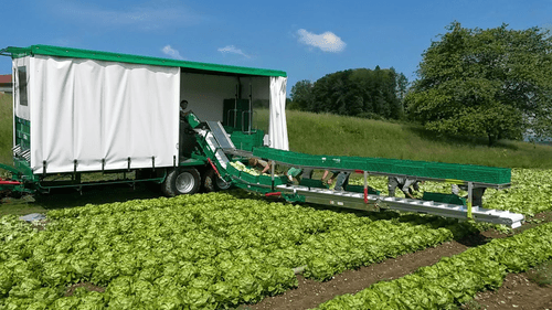 Transport - Remorques légumières - Remorques légumière DELECROIX