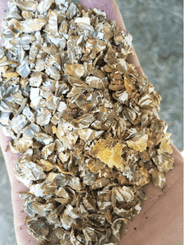 Alimentation - Aplatisseur à grains - Aplatisseur floconneur AP85