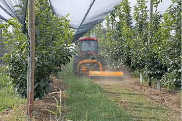 Entretien - Broyeurs d'accotements - Broyeur d'accotement ZMT-Gamme agricole