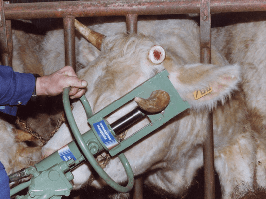 Matériel de ferme - Tarière - Ecorneuse à bovins hydraulique