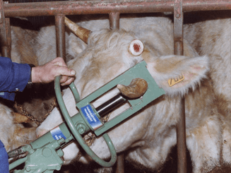 Matériel de ferme - Tarière - Ecorneuse à bovins hydraulique