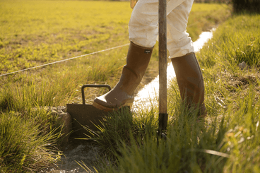 Equipement et protection individuelle - Bottes - Bottes CHAMBORD PRO 2