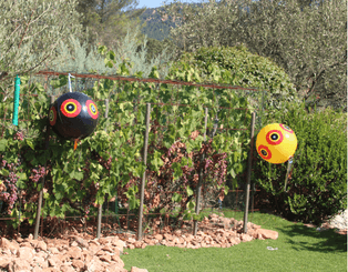 Lutte anti-nuisibles - Effaroucheurs - 3 ballons effaroucheurs