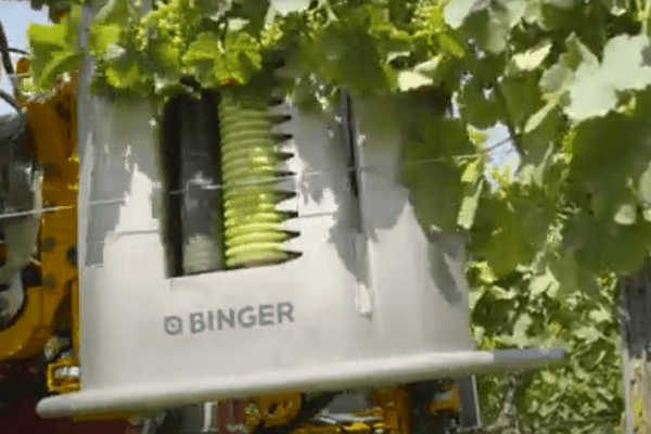 Entretien - Taille viti-arbo - Effeuilleuse EB490 BINGER