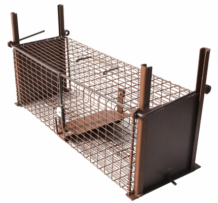 Lutte anti-nuisibles - Pièges - Piège à nuisibles