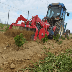Travail du sol - Viti arbo - Déchaumeur vigne à disques VINIDISC