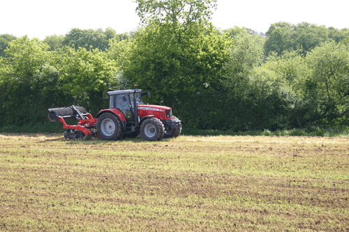 Travail du sol - Déchaumeur à dents - Déchaumeur combiné DISCORDON