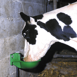 Abreuvement - Abreuvoirs et accessoires - Abreuvoir FORSTAL
