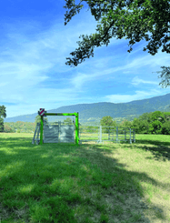 Matériel d'élevage - Cage, parc et couloir de contention - Cages et couloirs de contention PONGE